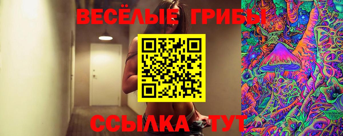 Псилоцибиновые грибы Psilocybine cubensis  Вход с VPN  Пугачёв 
