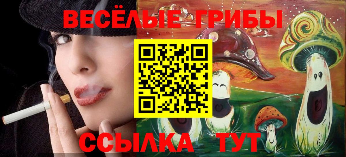 Псилоцибиновые грибы Magic Shrooms Пугачёв